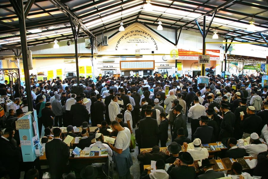 חסדי ברסלב באומן, אשתקד