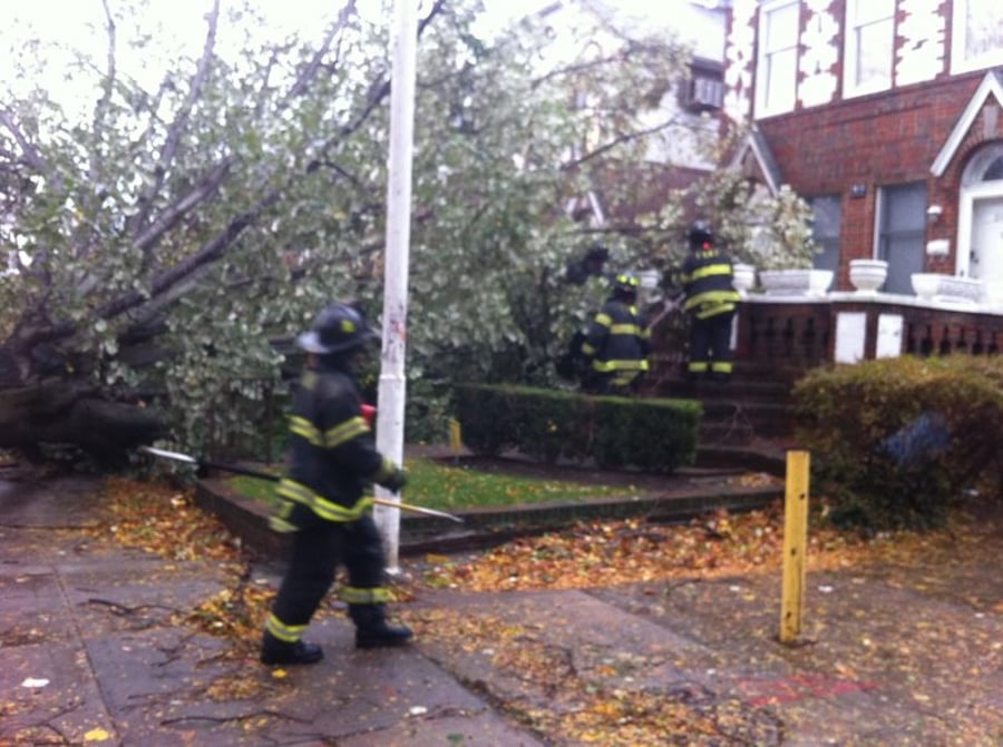 ברוקלין: עץ קרס על בית הכנסת המרכזי 'שערי ציון'