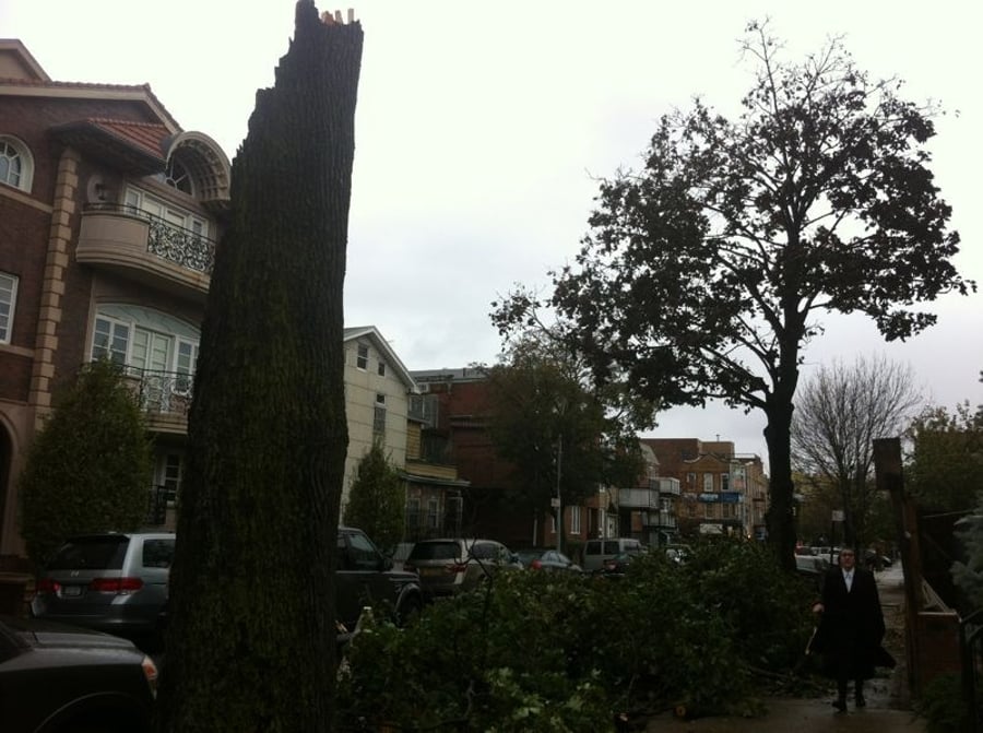 ברוקלין: עץ קרס על בית הכנסת המרכזי 'שערי ציון'