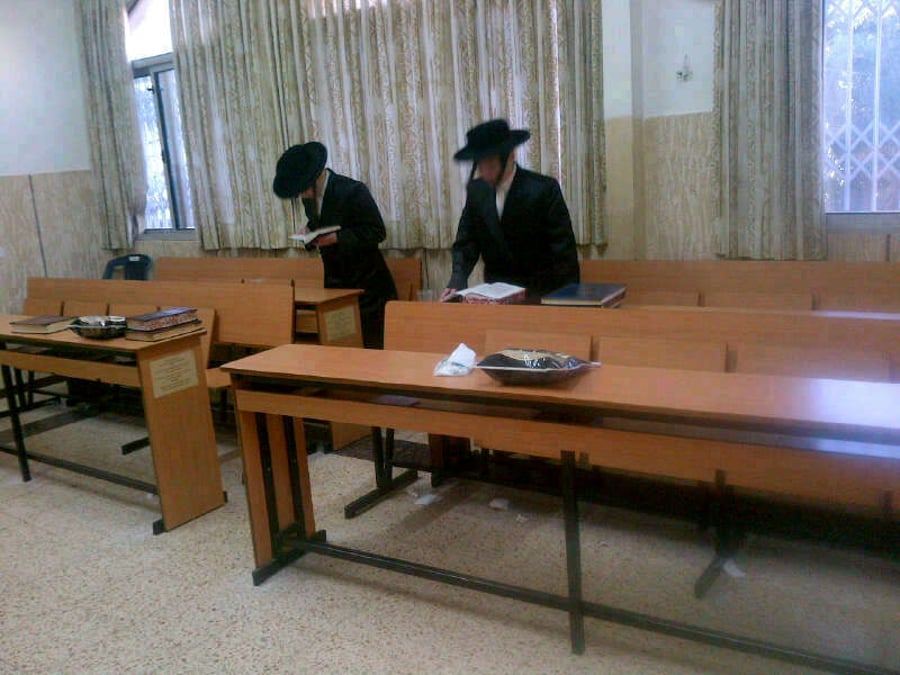 התאומים בתפילתם, היום