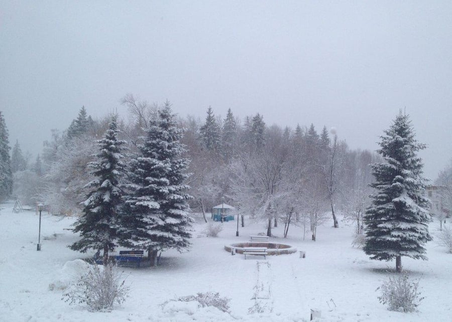גלריה: לא רק בארה"ב, סופת שלגים ברוסיה
