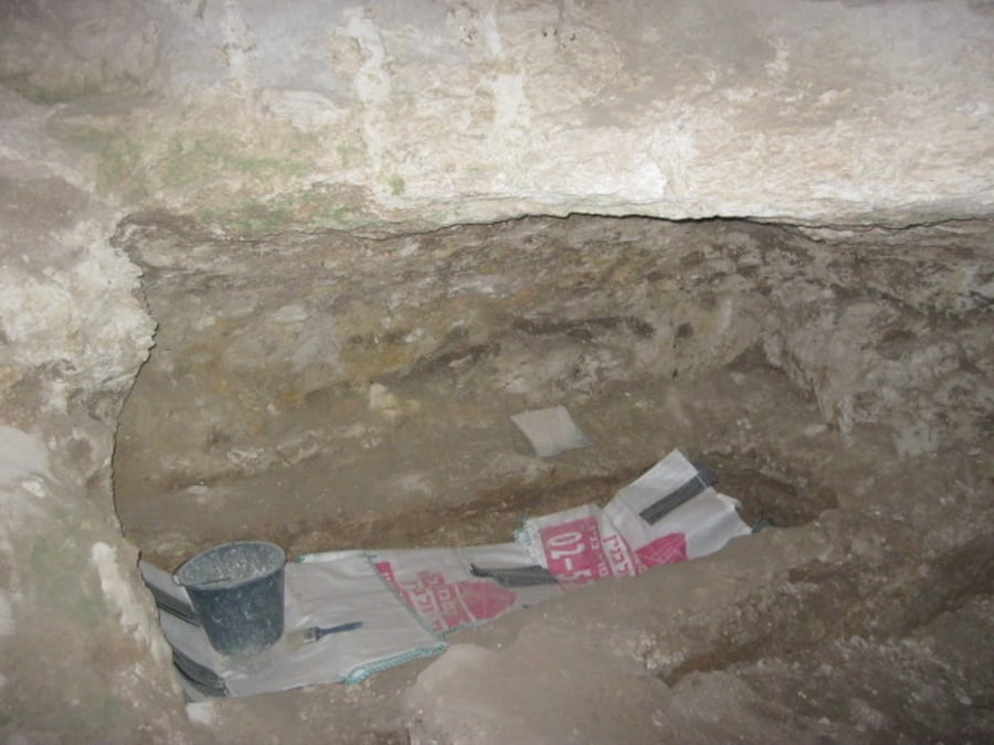 אתרא קדישא תומכת בחפירות קברים ב'נשר'?