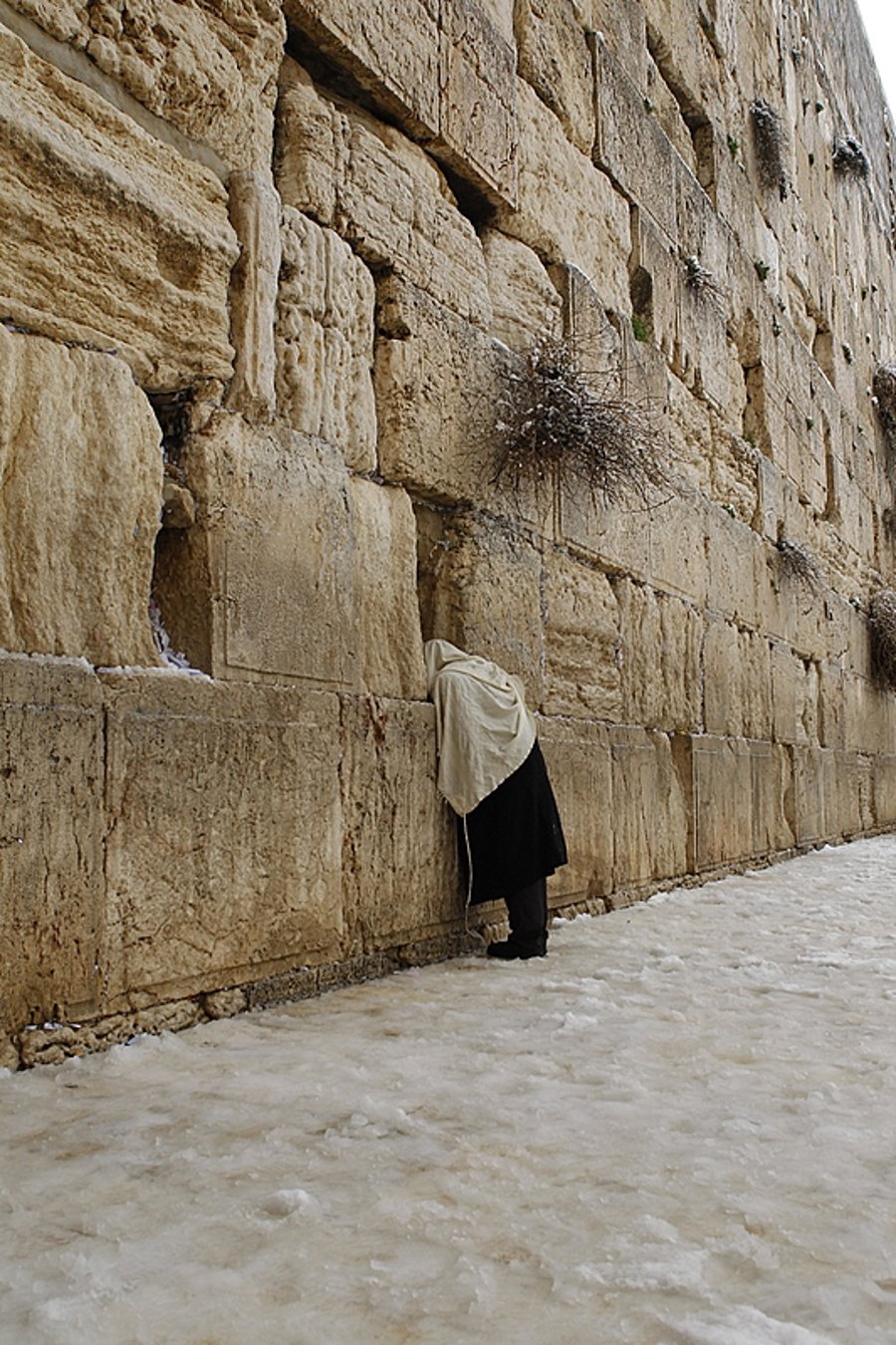 יממה לבנה בירושלים: 120 תמונות מהבירה המושלגת