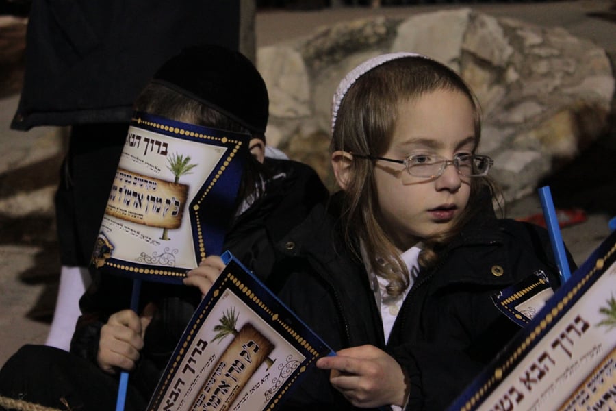 רבבות חסידים קיבלו את האדמו"ר מסאטמר בי-ם