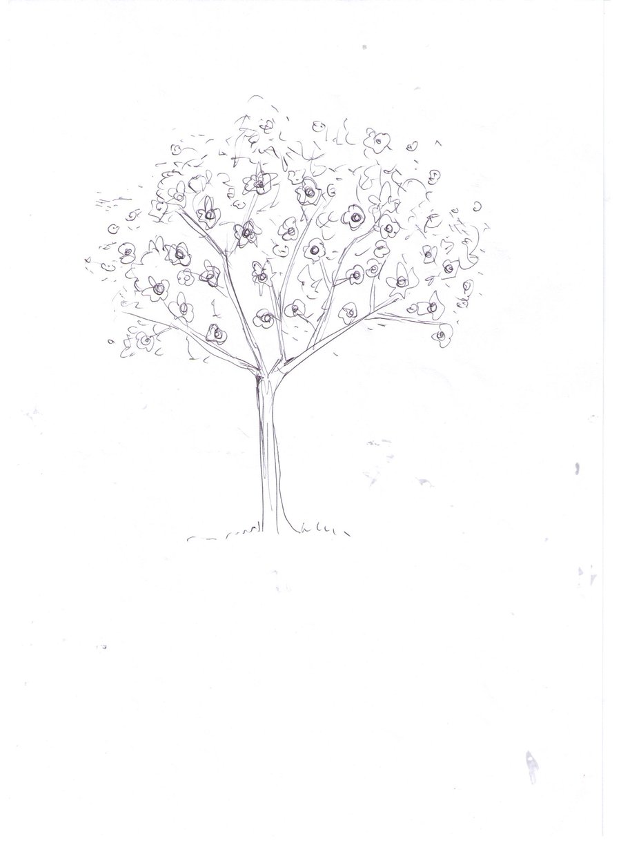 האדם עץ השדה: עץ כמקור פסיכולוגי בגרפולוגיה