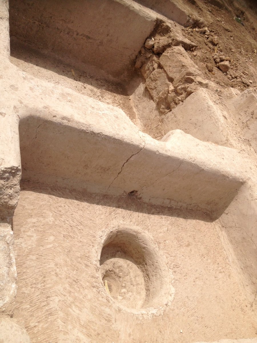חמי יואב: גת עתיקה בת 1500 שנה נחשפה