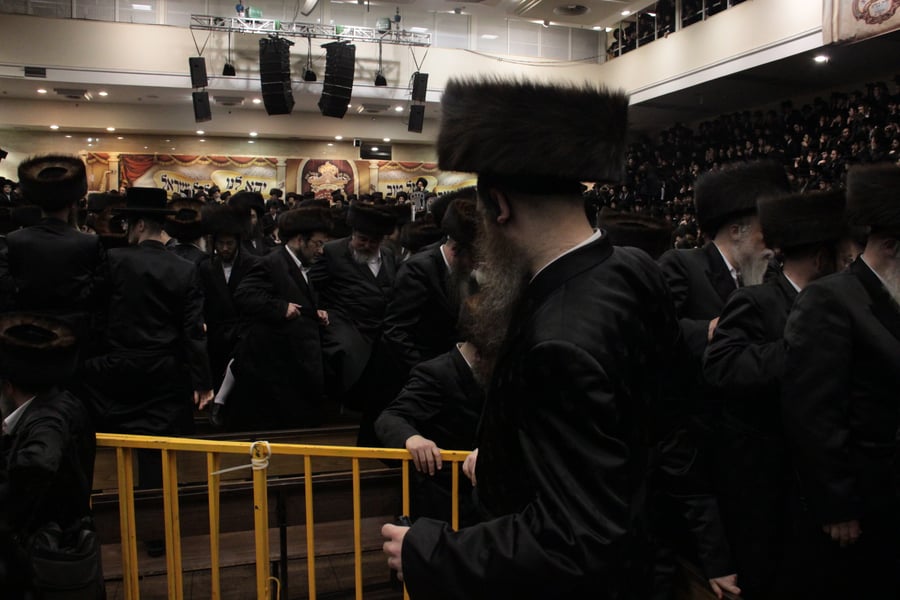 לצד גדולי ישראל: רבבות חגגו עם הנסיך מבעלזא