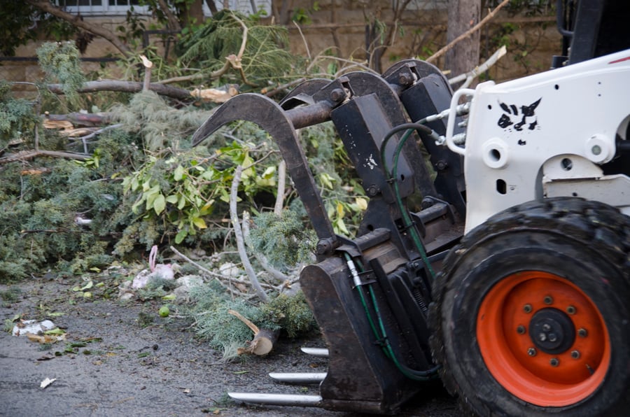 המבצע של עיריית ירושלים: איסוף שברי עצים מהסופה
