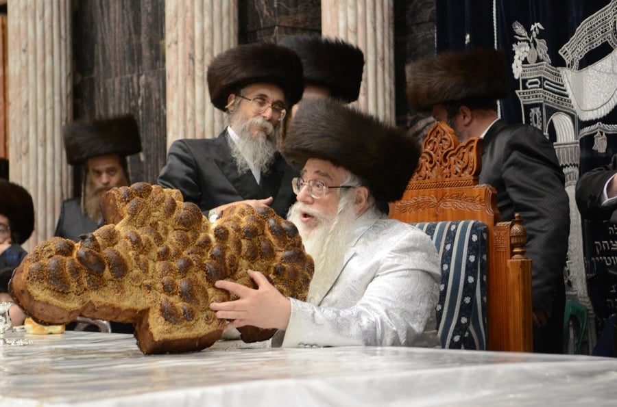 פורים בחצר הקודש צאנז • גלריה