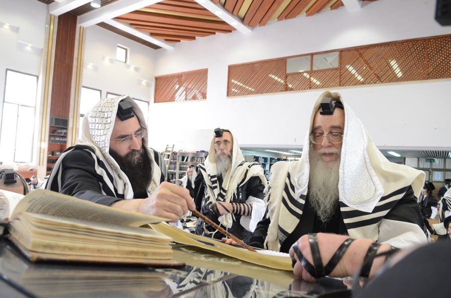 פורים בחצר הקודש צאנז • גלריה