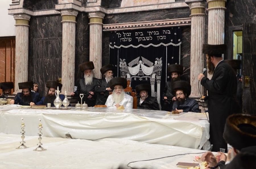 פורים בחצר הקודש צאנז • גלריה