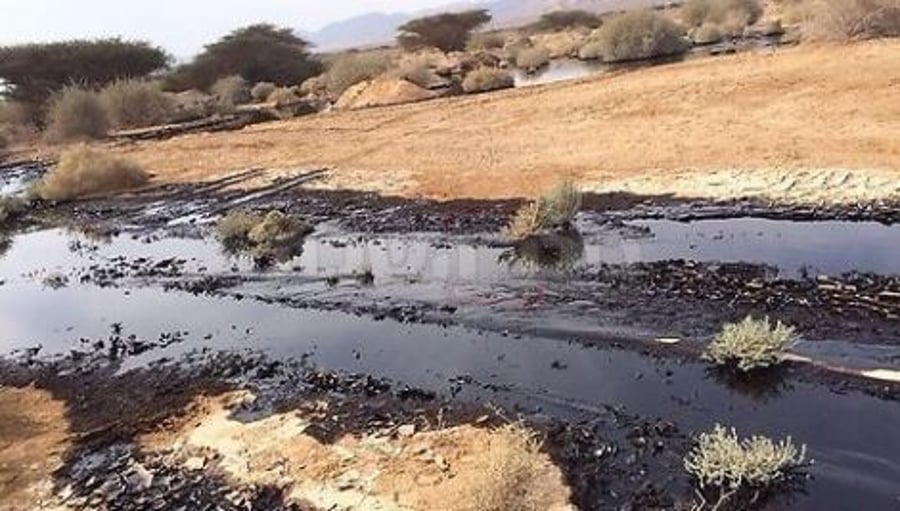 האסון האקולוגי בערבה: ספיגת הנפט תחריף בגלל הגשם