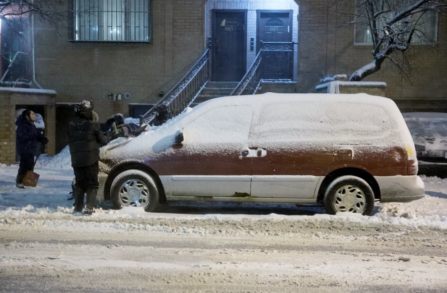 גלרית ענק: ילדי ניו יורק משחקים בשלג