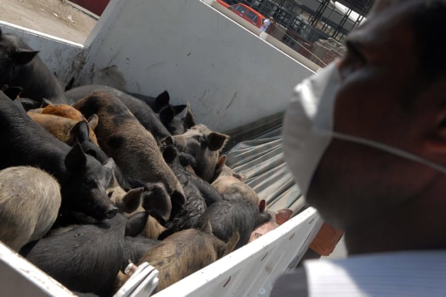 פתח תקווה: מאבק למניעת פתיחת חנות לממכר חזיר