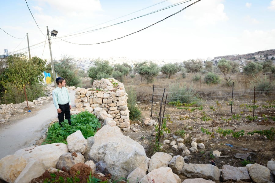 עיר אחת, שני עמים: הצצה מרתקת לחיי ילדי הישוב היהודי בחברון