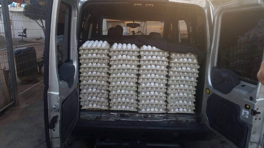 הבריחו 40,000 ביצים מהשטחים ונעצרו