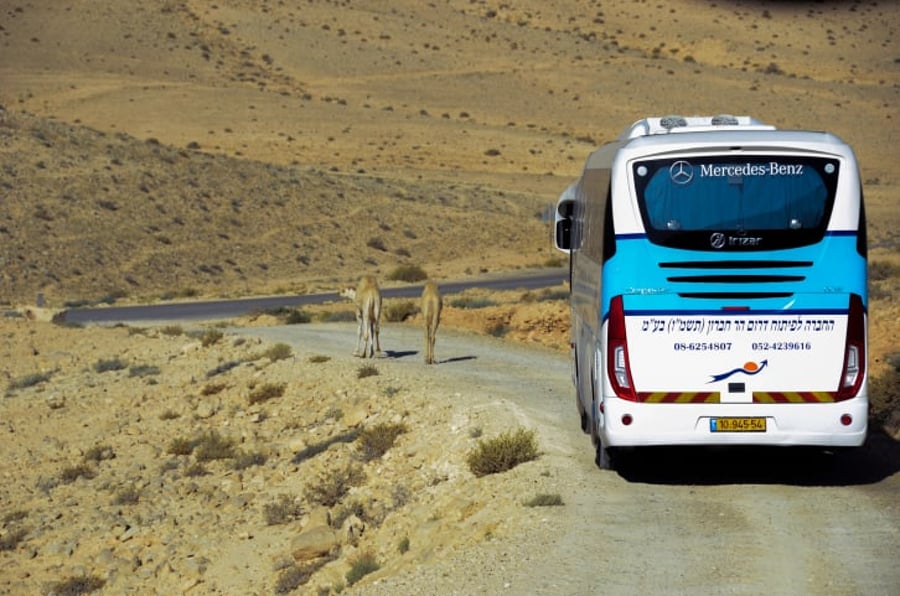 תקנות משאיות ואוטובוסים: הגבלת מהירות ומראה נוספת