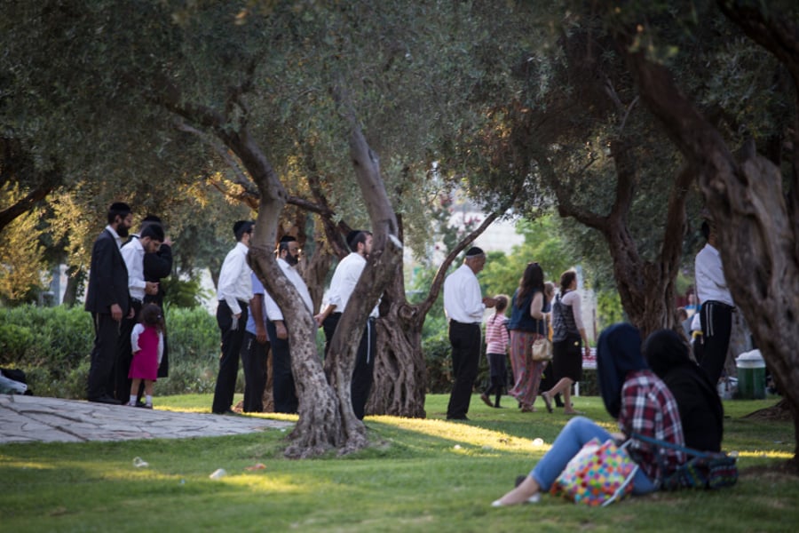 החרדים התפללו בפארק והמוסלמיות ישבו וצפו • תמונות