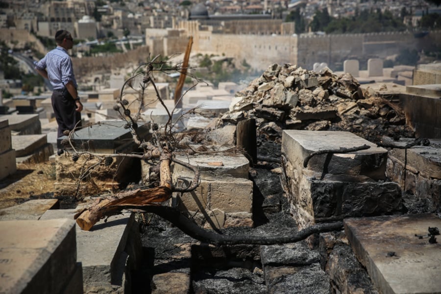 חשד להצתה: שריפה פרצה בהר הזיתים