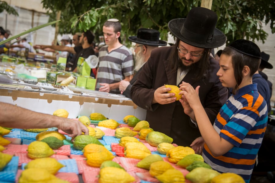 מתכוננים לחג הסוכות בירושלים ובתל אביב • צפו בתיעוד