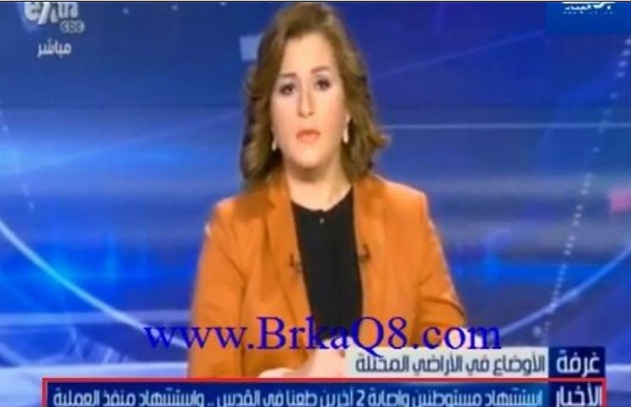ערוץ מצרי כינה את נרצחי הפיגוע "קדושים" - והתנצל