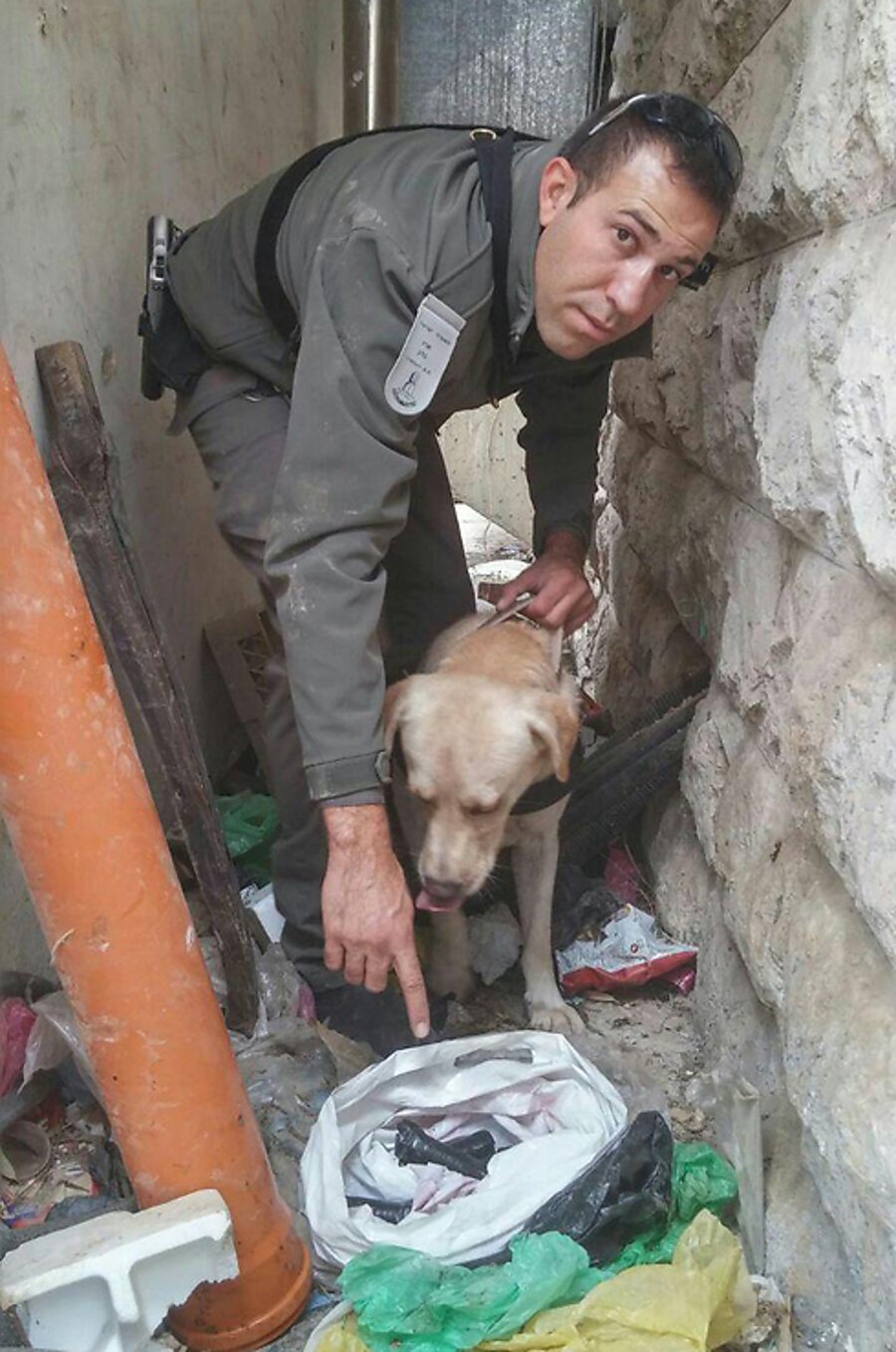 הכלב 'טאז' הריח מטען וסיכל פיגוע בירושלים