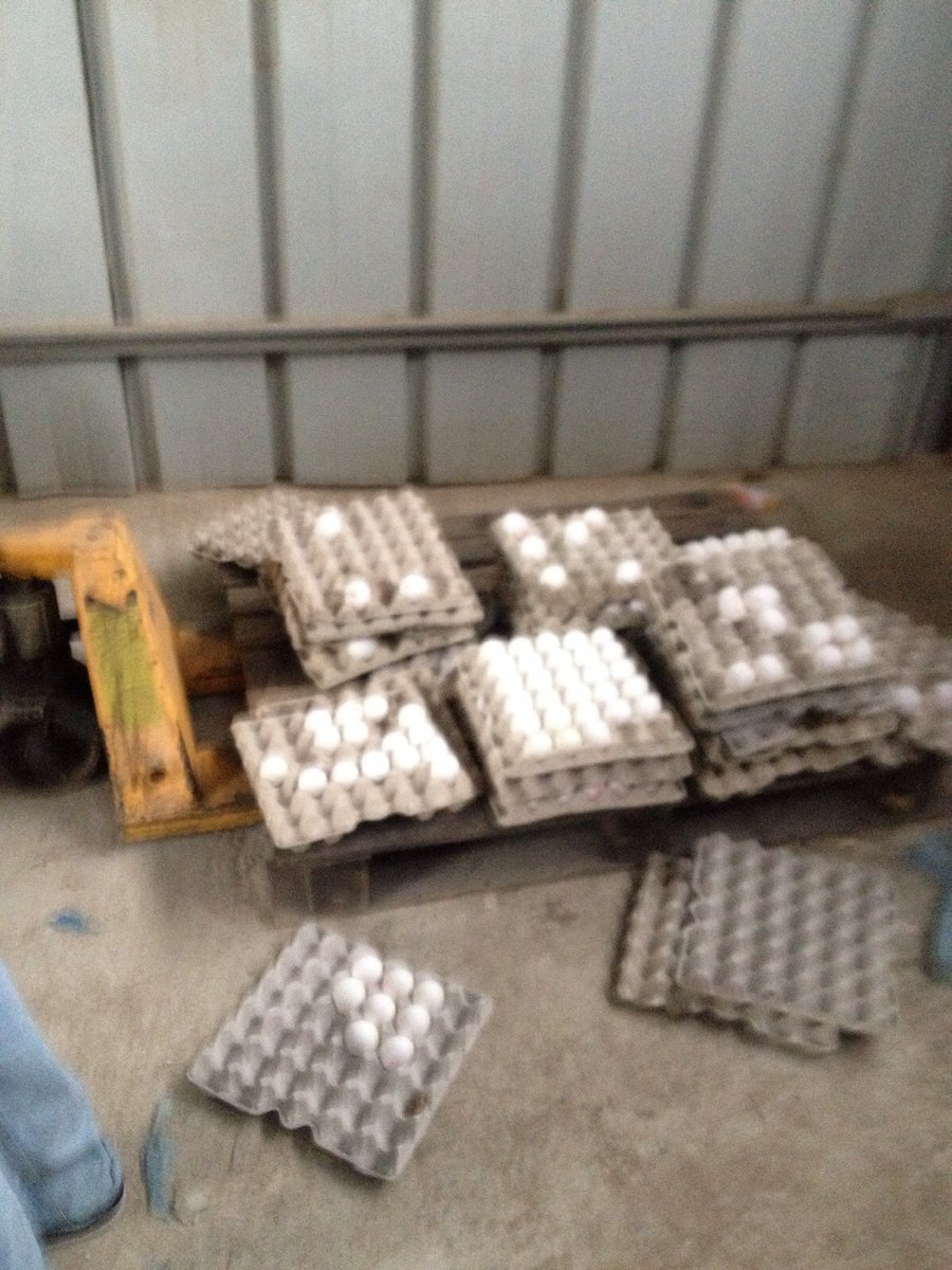 אלפי ביצים מוברחות נתפסו באזור בני ברק