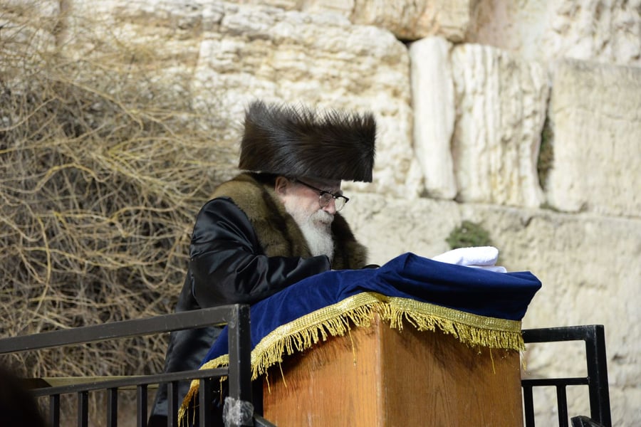 צפו: השבת של האדמו"ר מסקווירא בירושלים