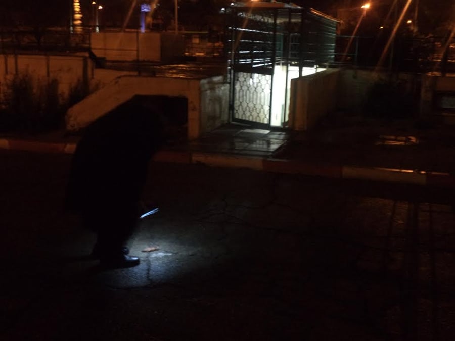 זעזוע בערד: רגלי חזיר הושלכו לבית הכנסת של חסידות גור