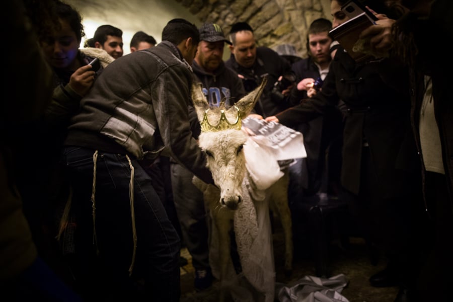 חגיגה בקבר דוד המלך: פדיון פטר חמור ומינוי רב