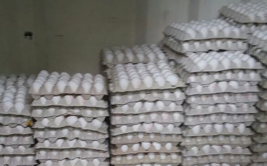 אלפי ביצים מוברחות נתפסו בדרך לשיווק בירושלים