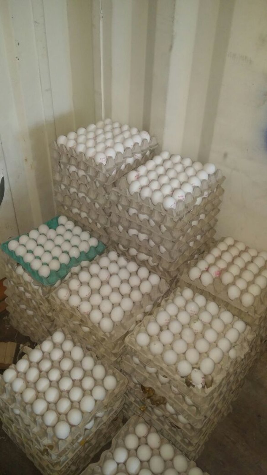 אלפי ביצים מוברחות נתפסו בדרך לשיווק בירושלים