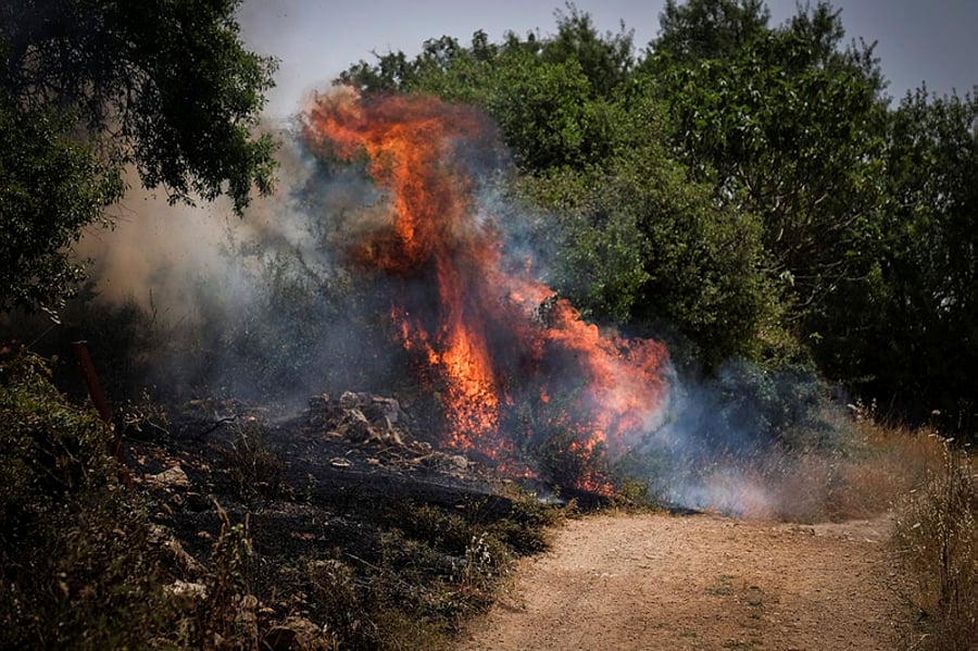 אחרי 5 שעות: הושגה שליטה על שריפת הענק באזור ירושלים