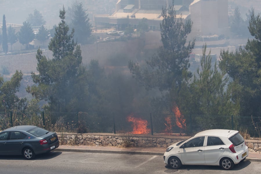 שריפת הענק בירושלים בתמונות • צפו בגלריה