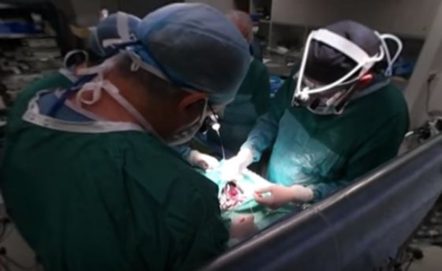 ניתוח לב פתוח ב-360 מעלות • צפו בווידאו