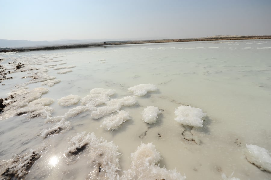 מתייבש והולך: תיעוד עצוב מים המלח