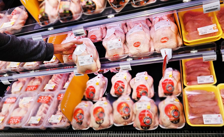 נחשף: עופות נגועים בחיידק הסלמונלה משווקים בישראל