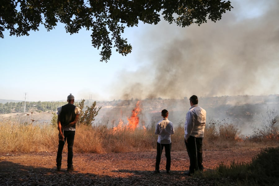 תיעוד: שריפה ליד הבתים ברמת בית שמש