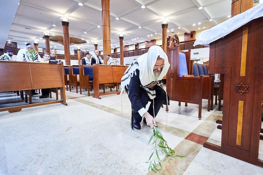 גלריה: הושענא רבה בבית הכנסת המרכזי במוסקבה
