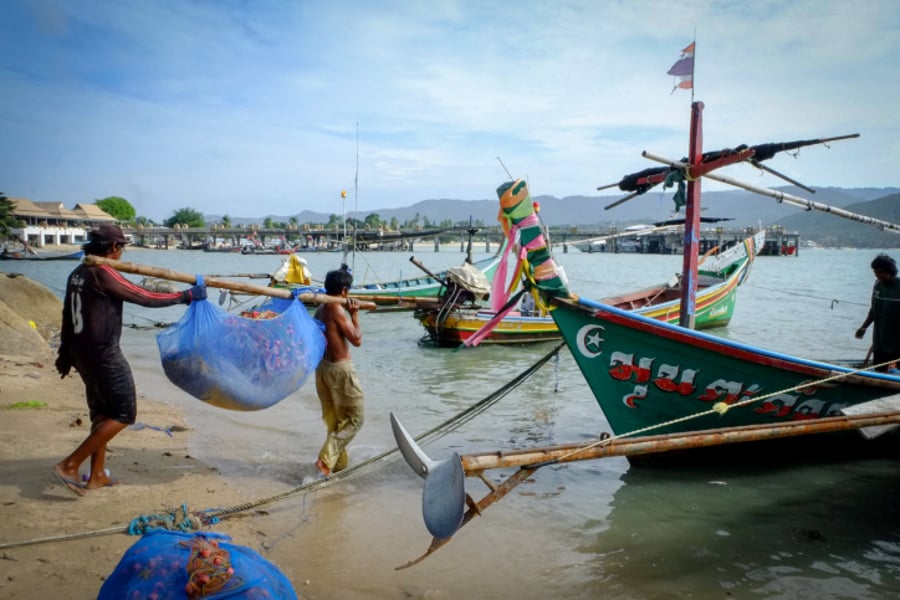 האי קוסמוי בתאילנד בעדשת המצלמה | תיעוד