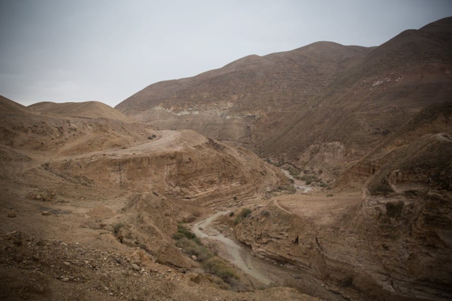 חורף במדבר: צפו בשיטפונות מגיעים לערוץ הנחל