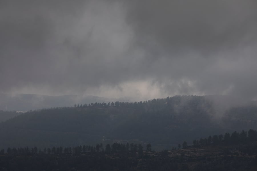 יופי חורפי: הרי ירושלים דרך עדשת המצלמה