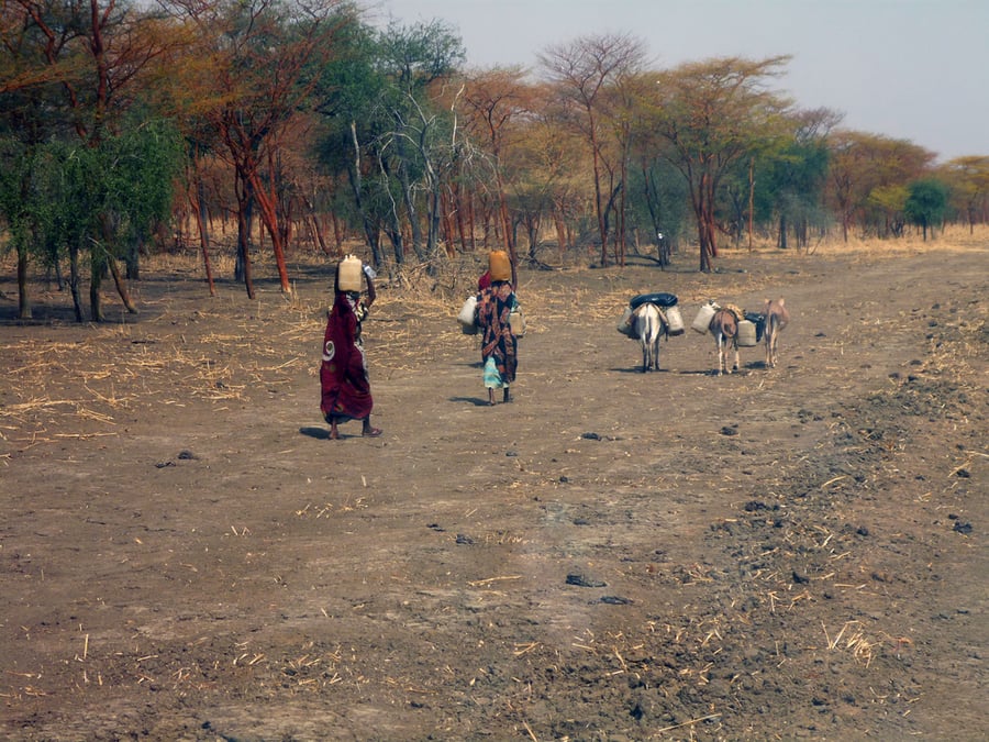מלחמת אזרחים: רעב הוכרז בדרום סודן