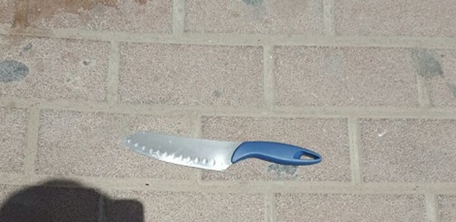 הסכין שהושלכה