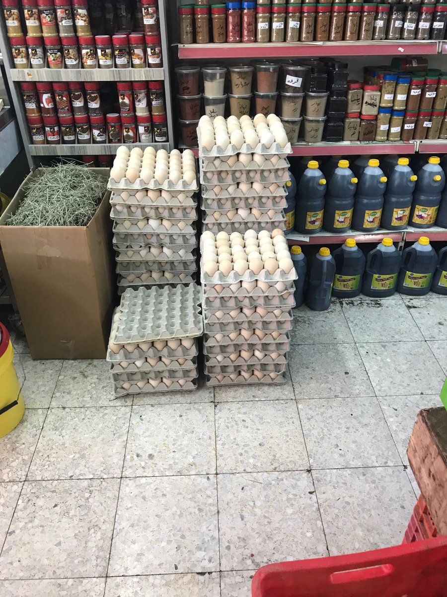 הוחרמו למעלה מ-5000 ביצים לא מאושרות