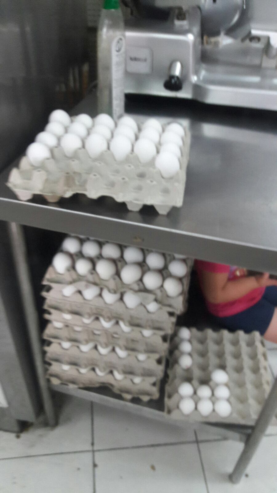כ-6,000 ביצים שנשמרו לא בקירור - הושמדו