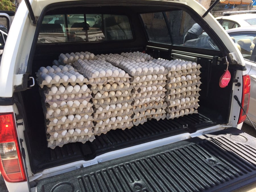 כ-6,000 ביצים שנשמרו לא בקירור - הושמדו