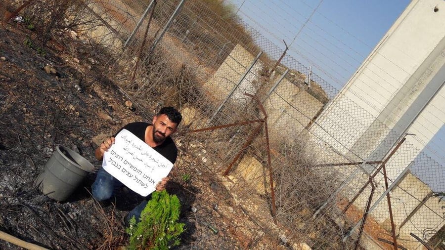 לבנוני שתל עץ בגבול - לבקשת נסראללה