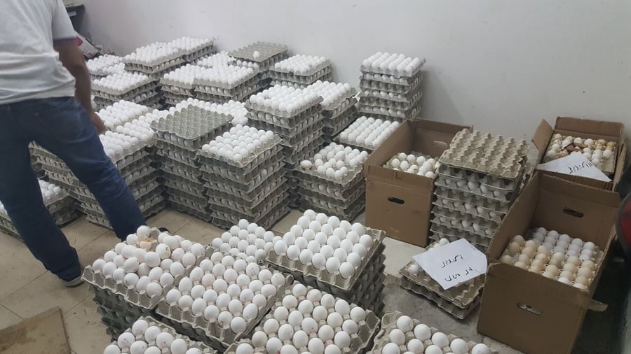 אלפי ביצים נתפסו במחסן בבני ברק ויושמדו