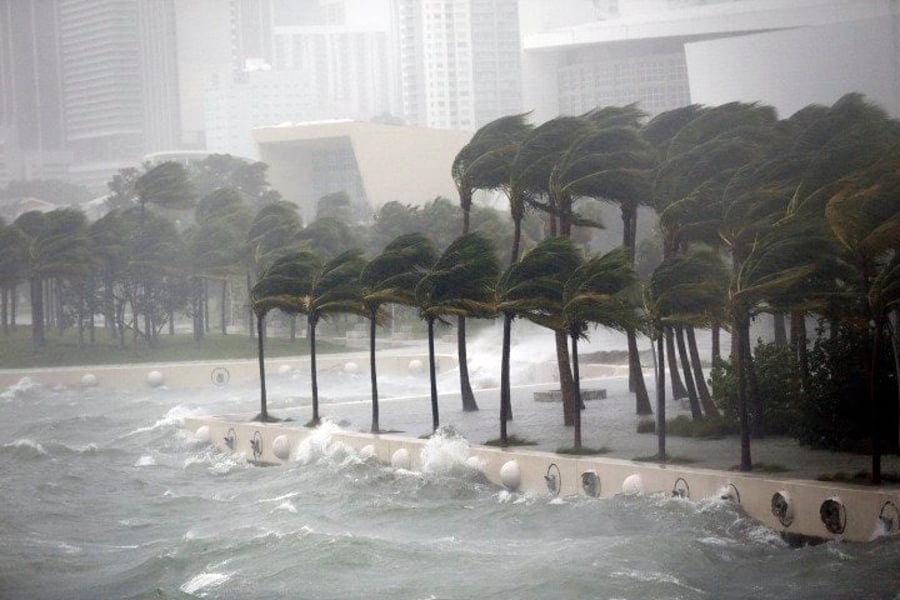 דונלד טראמפ הכריז על חלקים מפלורידה "אזור מוכה אסון"